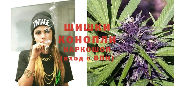 ешки Вяземский
