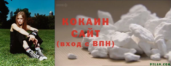 ешки Вяземский