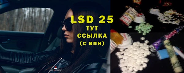 ешки Вяземский