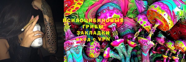 ешки Вяземский