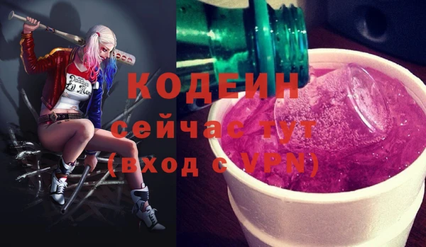 ешки Вяземский