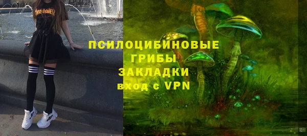 ешки Вяземский
