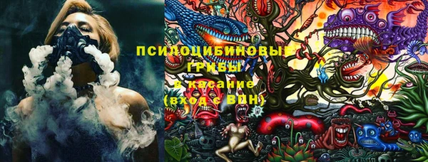 ешки Вяземский
