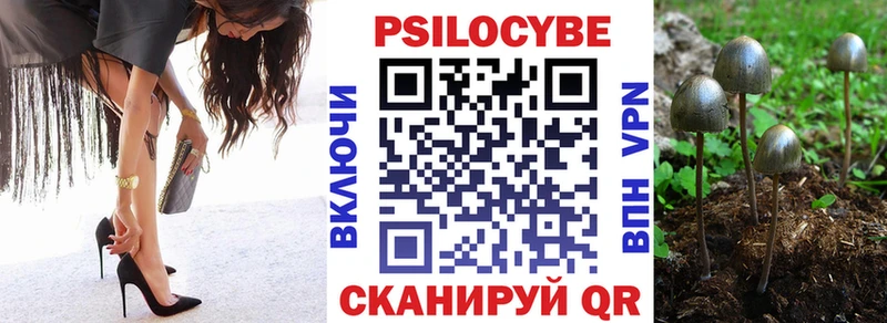 хочу   Каспийск  Галлюциногенные грибы Cubensis 